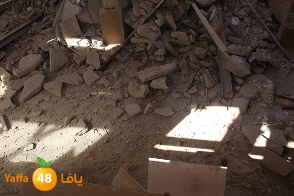 mabna inu910y (2).JPG